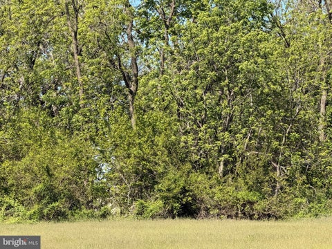 Vacant Land For Sale - 18497 S Dupont Highway<br/> HARRINGTON, DE 19952