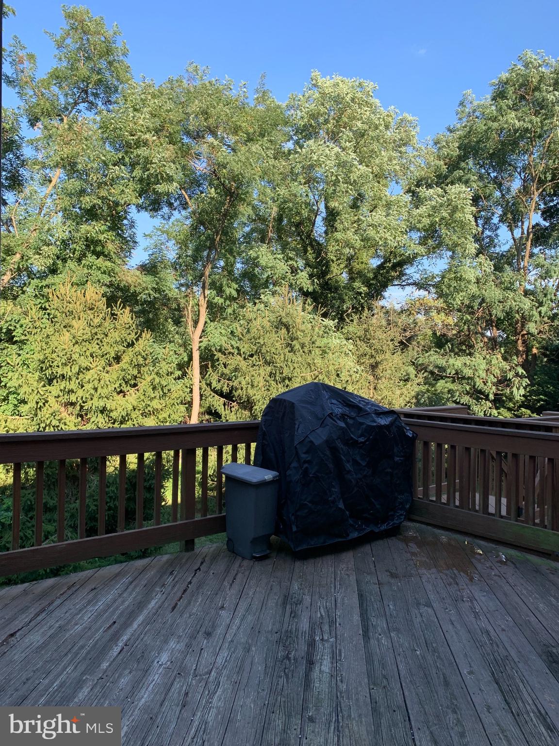 COLLEGE HILLS - Residential Lease