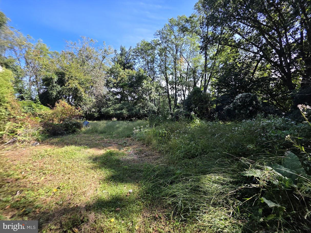 907 SPRINGWOOD DRIVE