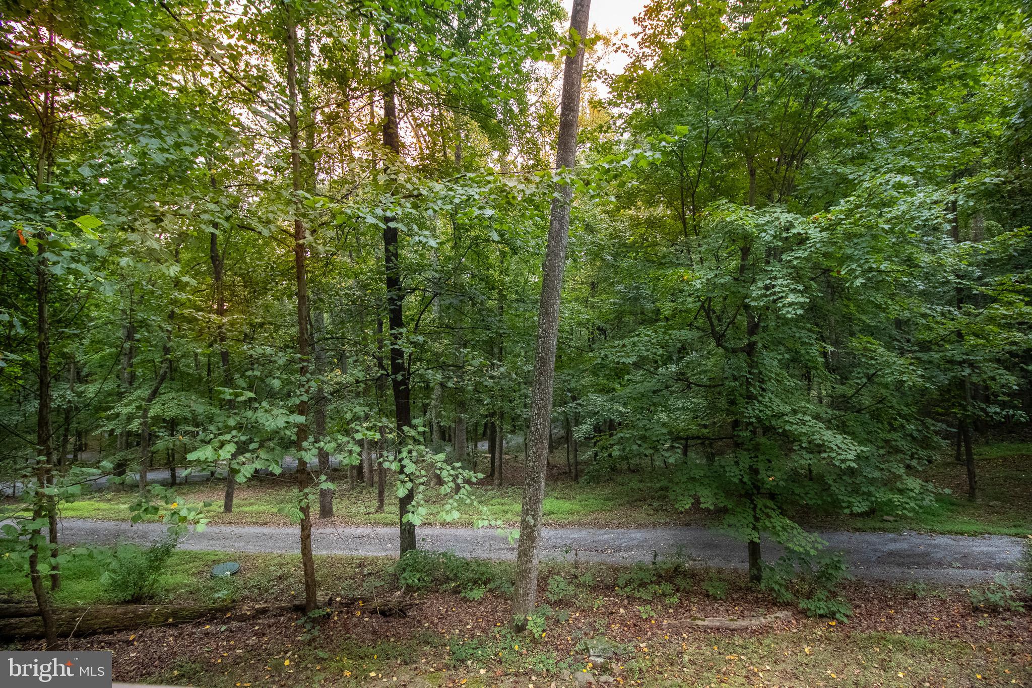 COOLFONT MOUNTAINSIDE - Residential