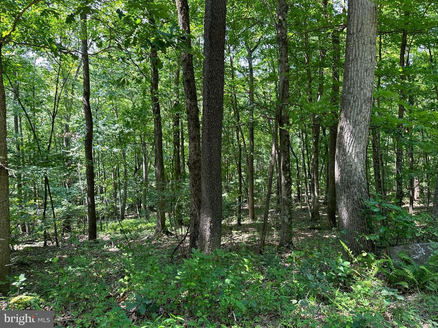 This 5 acres is off the beaten path, with endless opportunities from residential, to recreational use. Only 9+/- miles outside of downtown Morgantown, along with numerous lakes, 15+/- miles from Cheat Lake, 21+/- miles from Tygart Lake State park, and thousands of acres of public hunting, 21+/- miles from Coopers Rock State Forest, and 23+/- from Chesnut Ridge Regional Park. Check it out today!