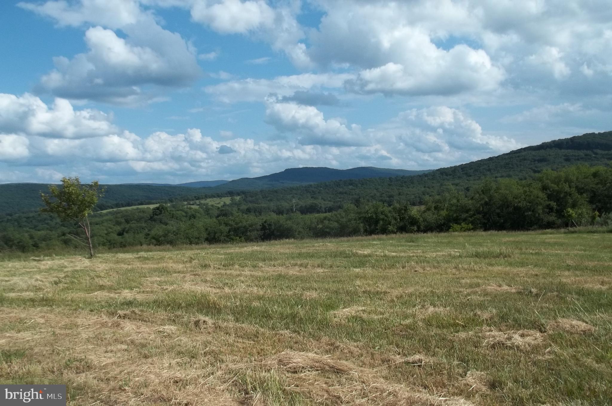ORCHARD TERRACE - Residential