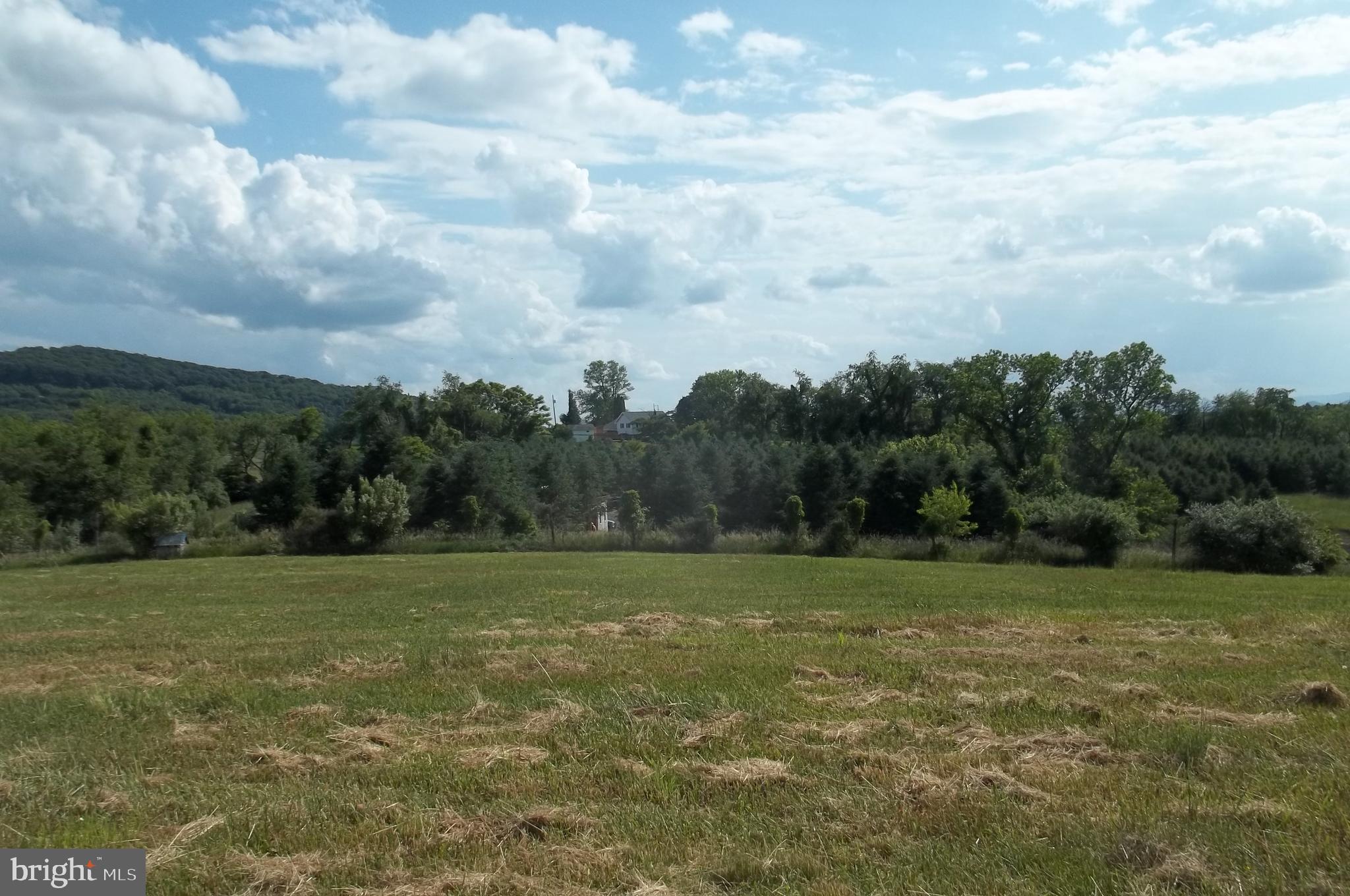 ORCHARD TERRACE - Residential
