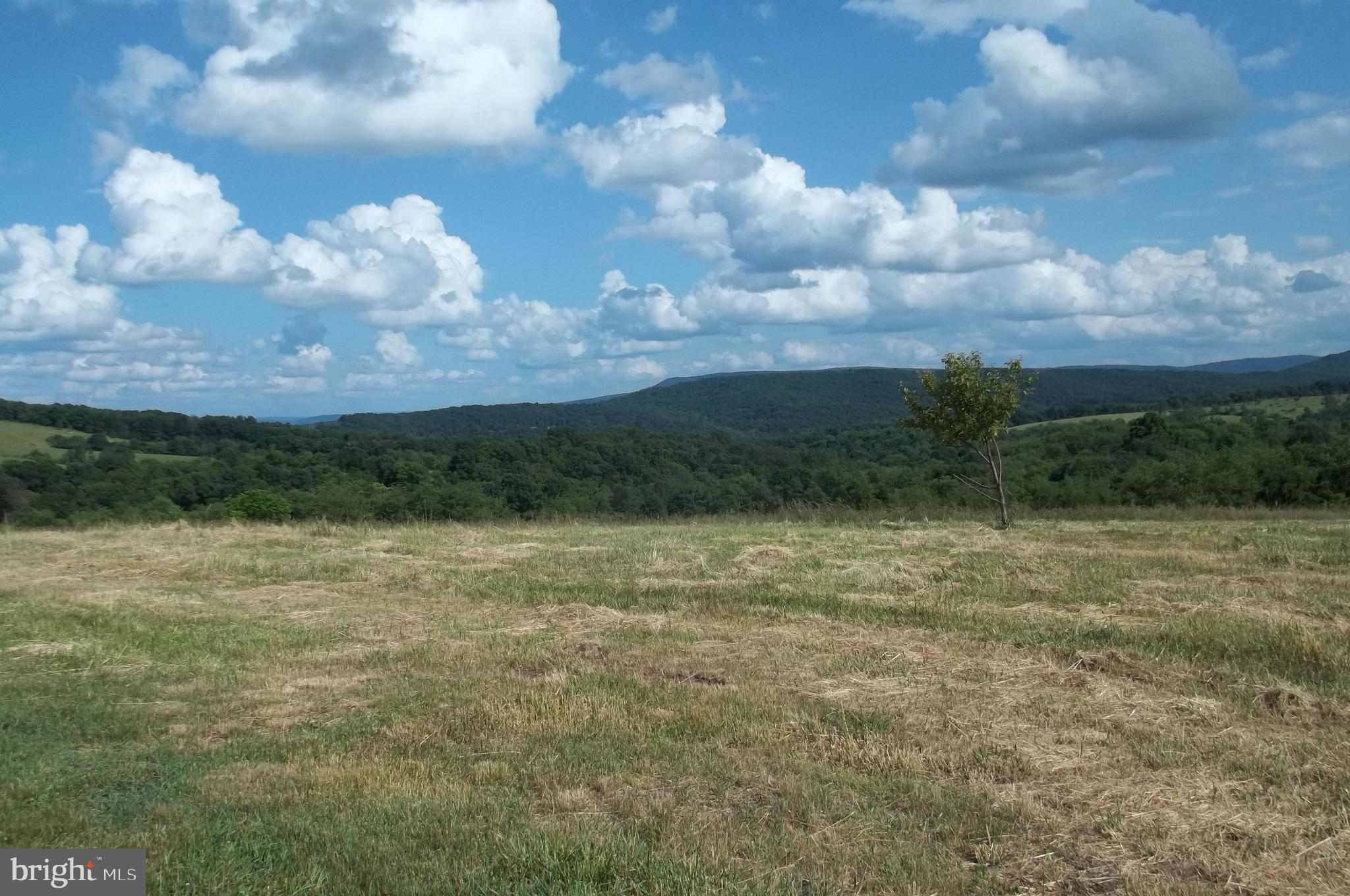 ORCHARD TERRACE - Residential