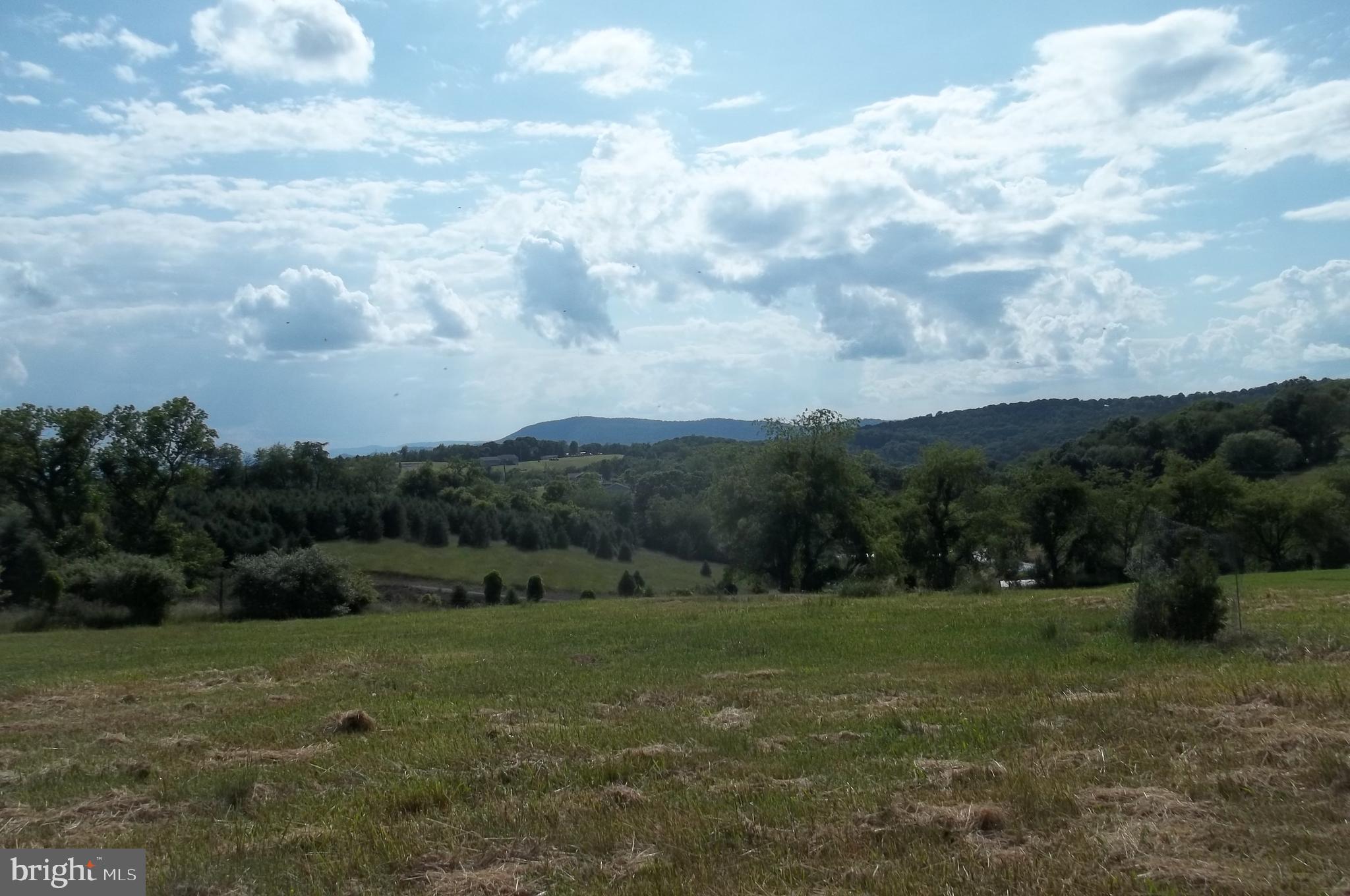 ORCHARD TERRACE - Residential