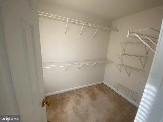 CASCADES - Residential Lease