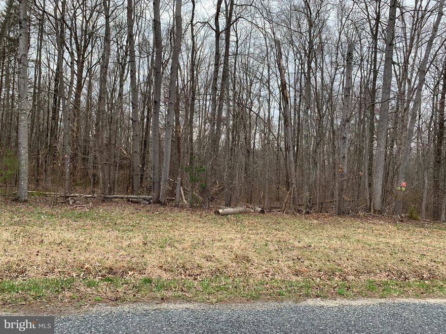 Need to get away from it all?  10 acres of privacy! Located in rural Kent County, but close to Middletown Delaware and all that Maryland's Eastern Shore has to offer.  Perfect place to build your dream home, hunting cabin, family compound. Heavily wooded  and abutting  vacant land owned by the state of Maryland Dept. of Natural Resources. Residential zoning.  Boundary survey has been ordered and sign will be installed after markers are in place.