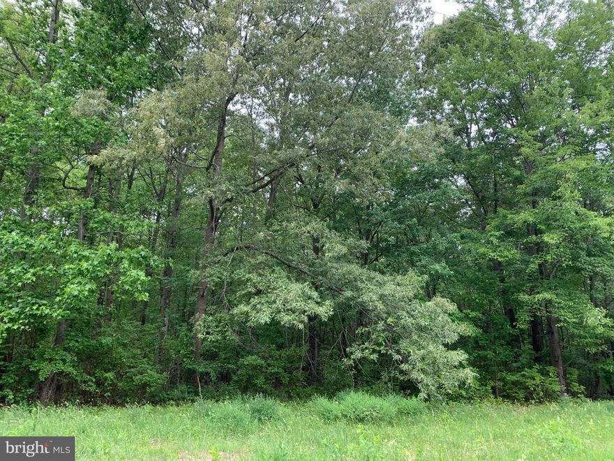 Need to get away from it all?  10 acres of privacy! Located in rural Kent County MD. but close to Rt. 301, Middletown Delaware and all that Maryland's Eastern Shore has to offer.  Perfect place to build your dream home, hunting cabin, family compound. Heavily wooded  and abutting  vacant land owned by the state of Maryland Dept. of  Natural Resources. Residential zoning.  Boundary survey has been completed and corners are marked..