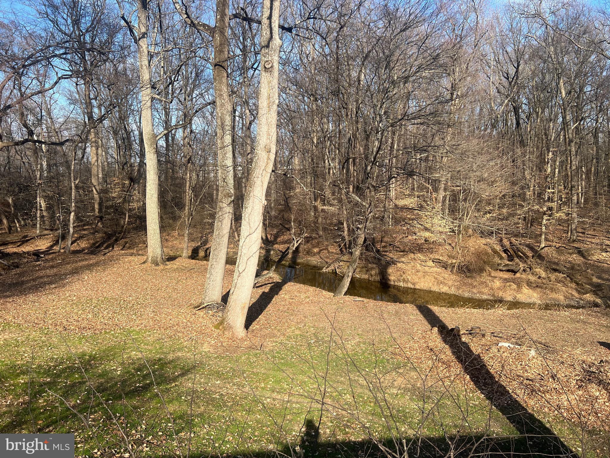 ELKTON - Residential