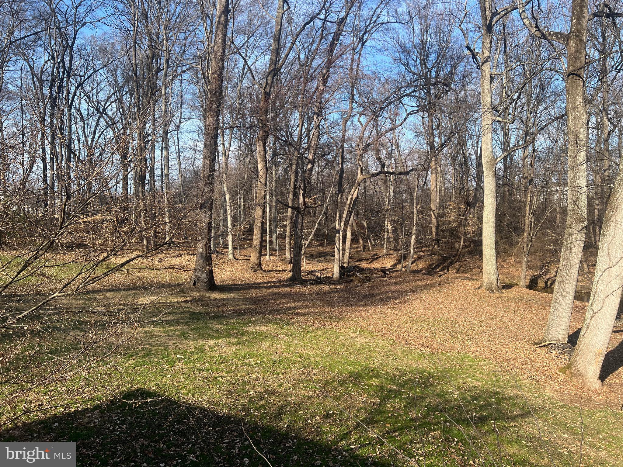 ELKTON - Residential