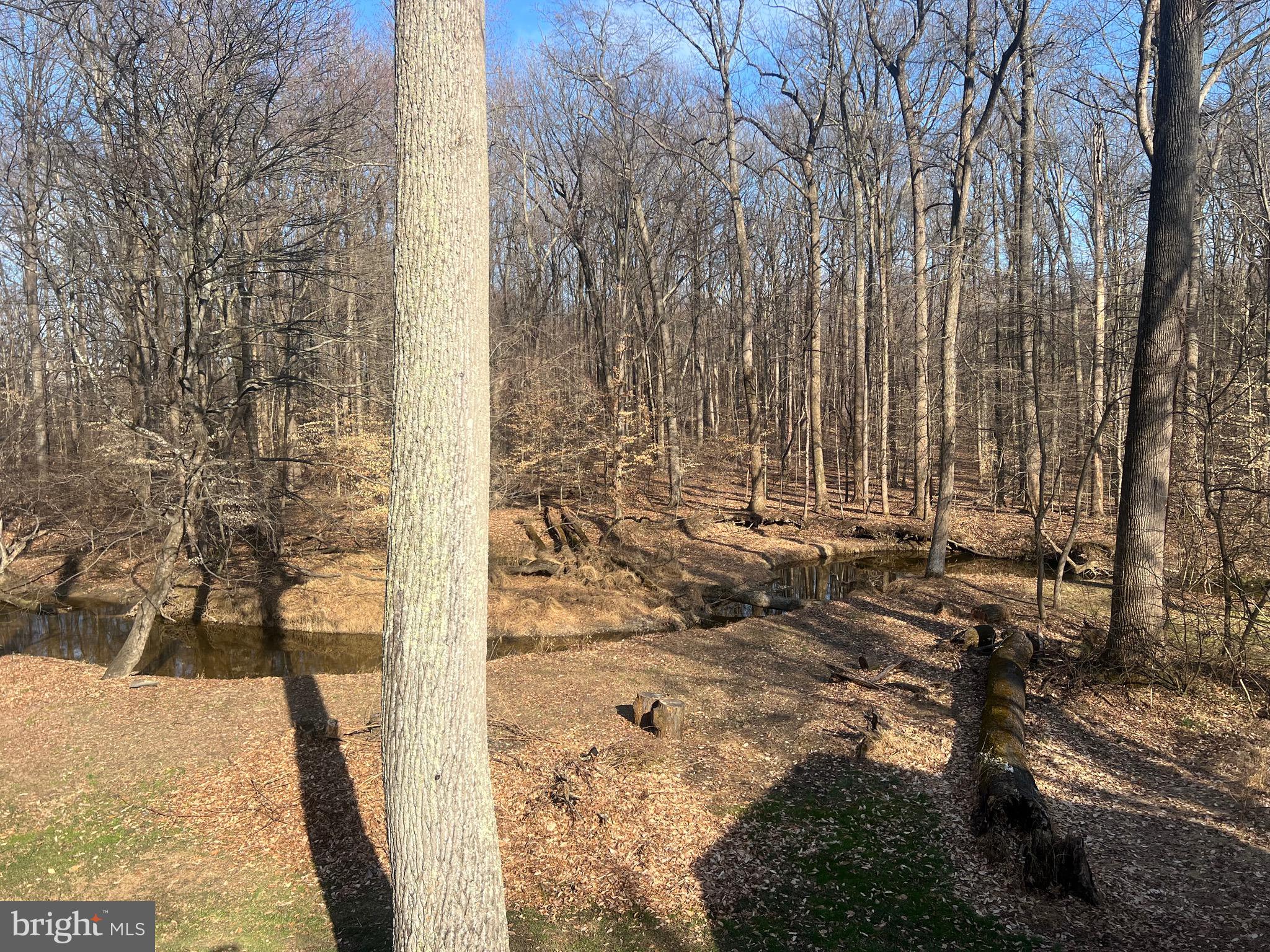 ELKTON - Residential