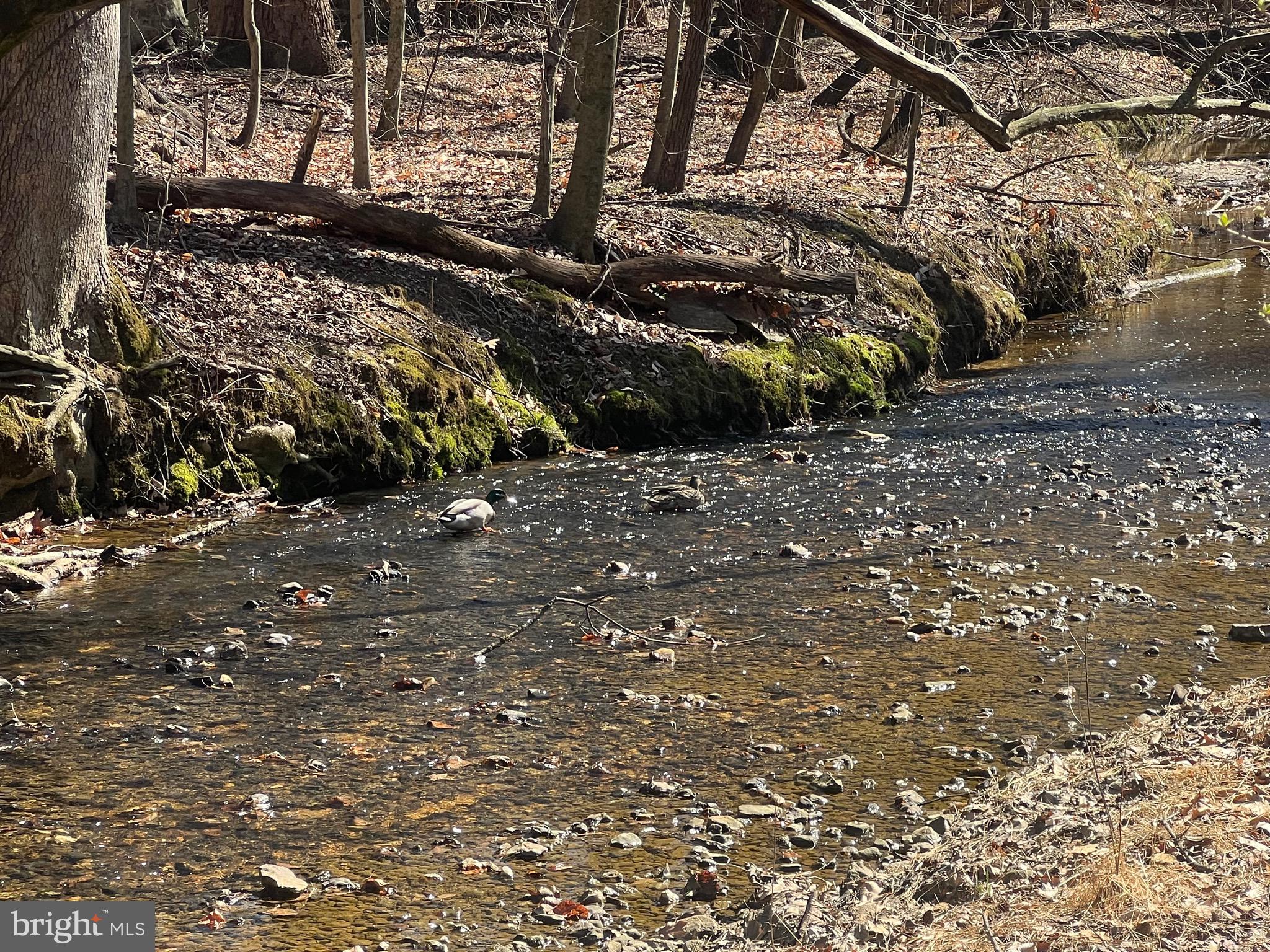 ELKTON - Residential