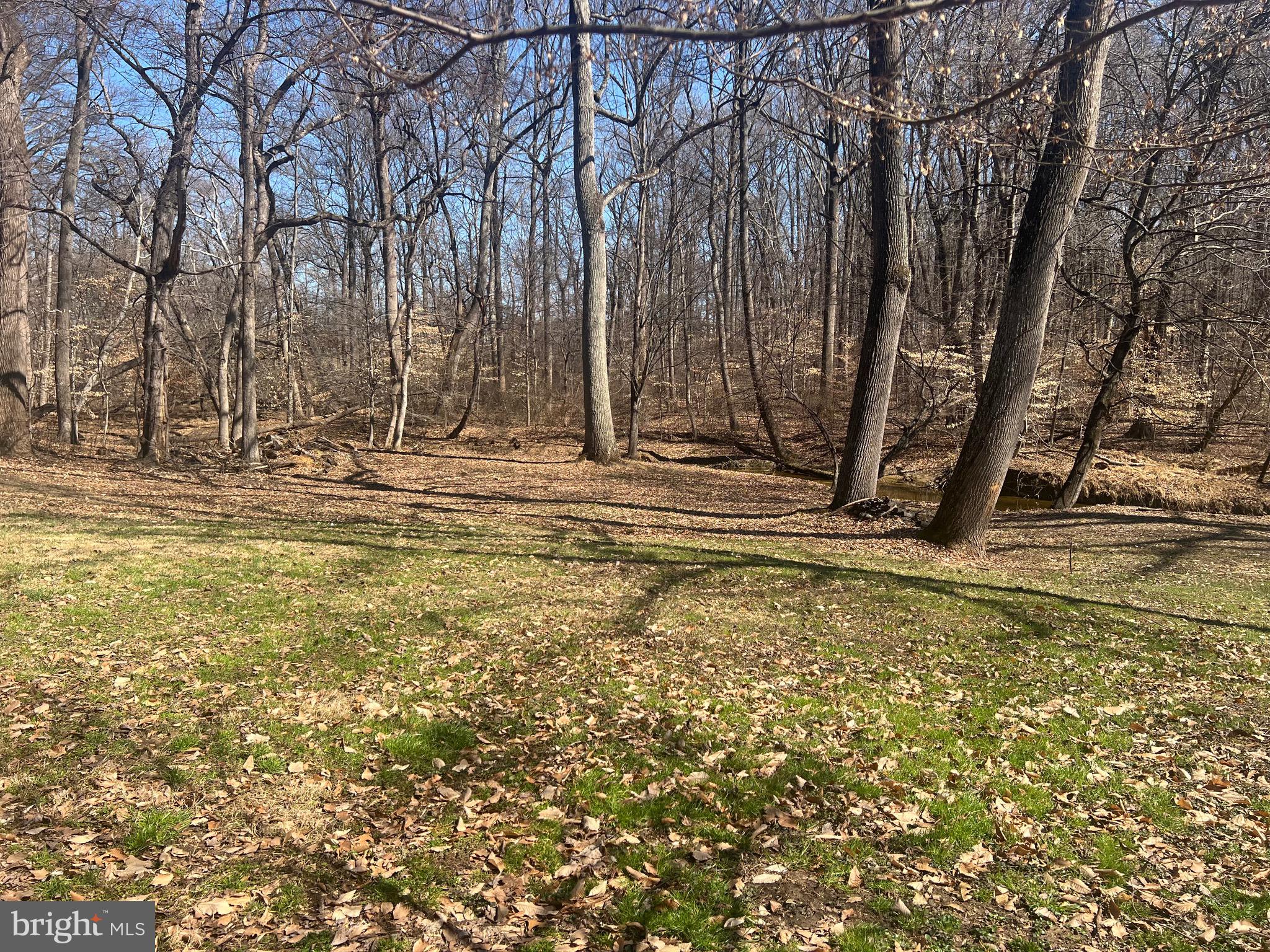 ELKTON - Residential