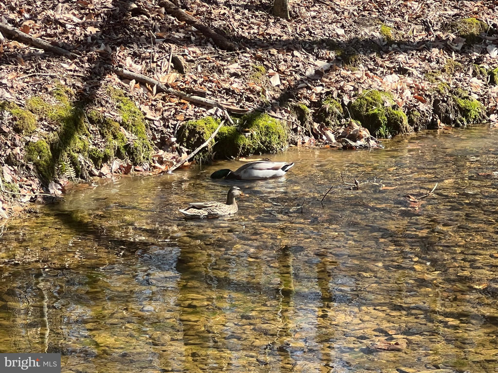 ELKTON - Residential