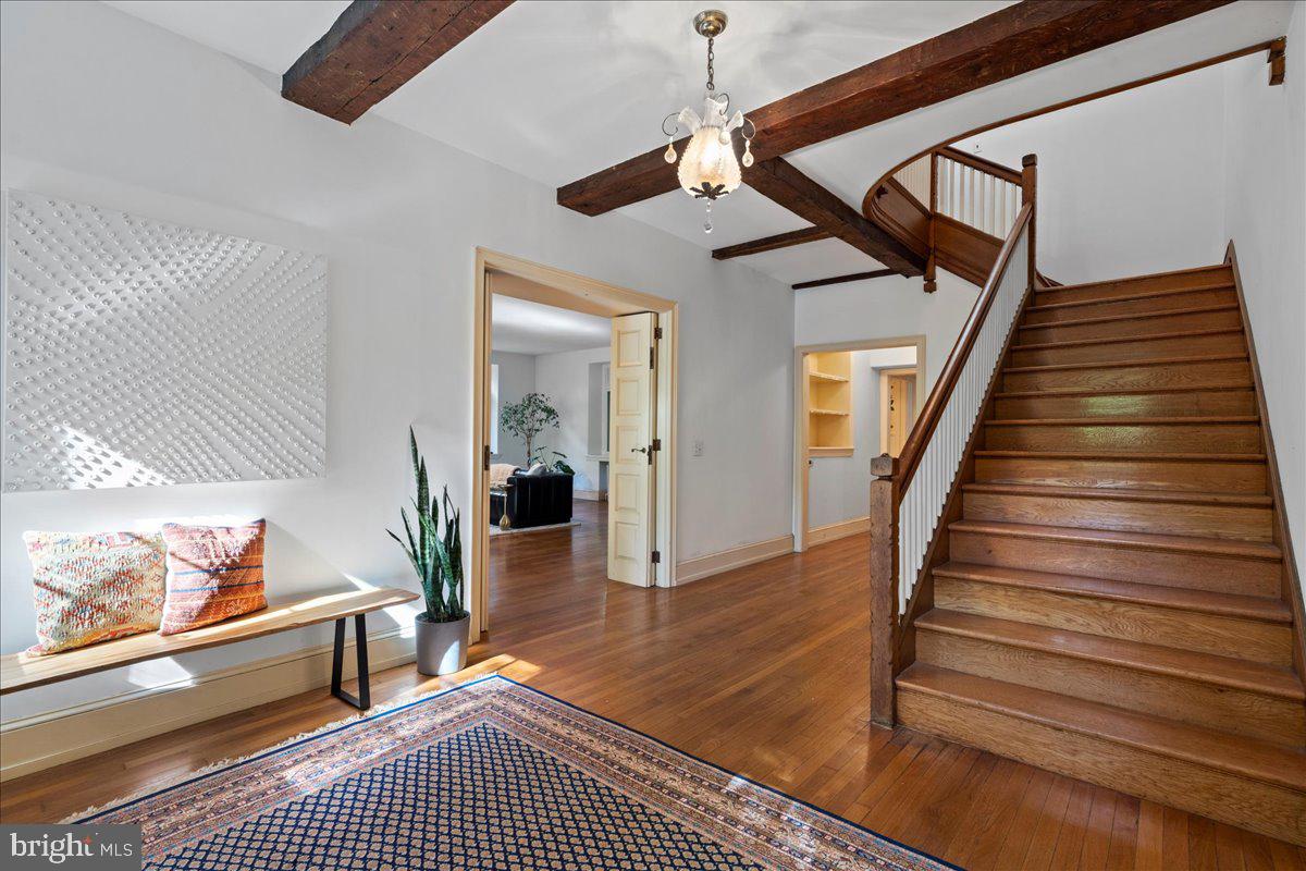 CHESTNUT HILL - Residential