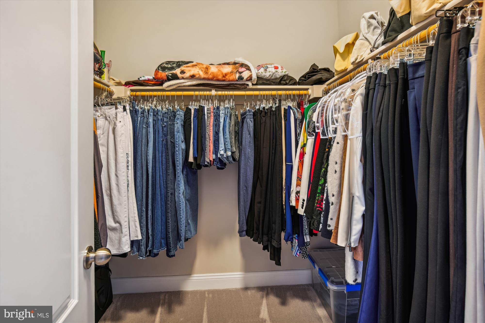 MAPLE LAWN - Residential