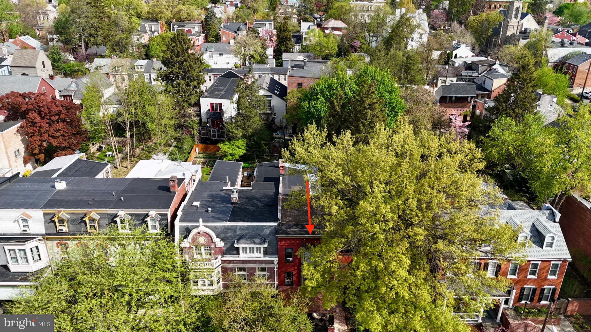 CHESTNUT HILL - Residential Income