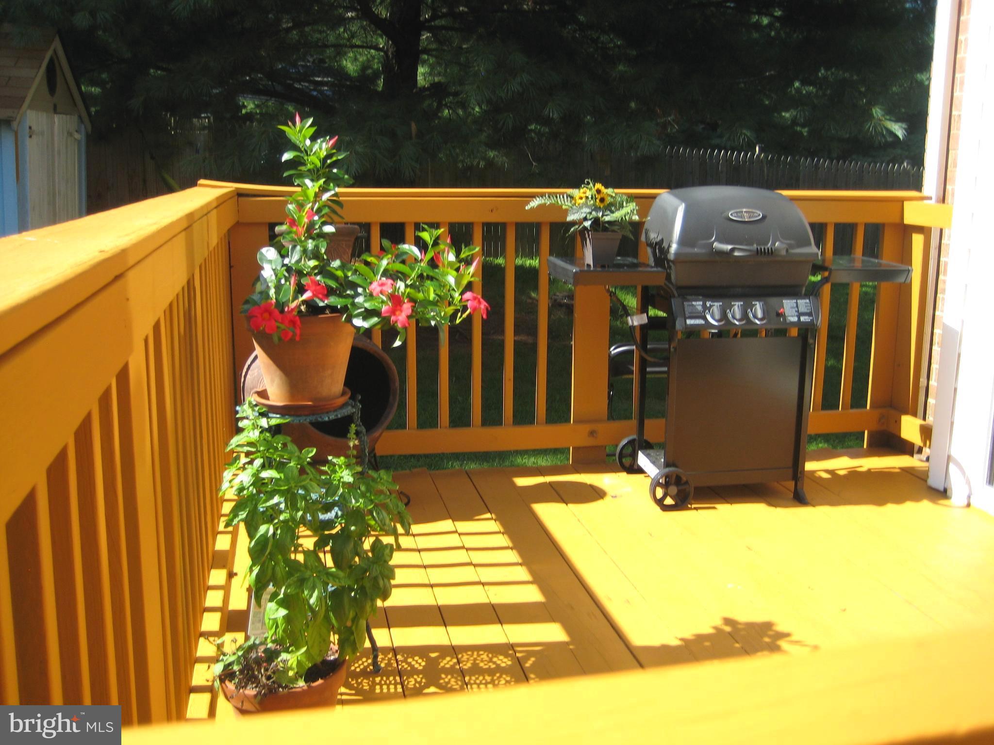 MIRROR RIDGE - Residential