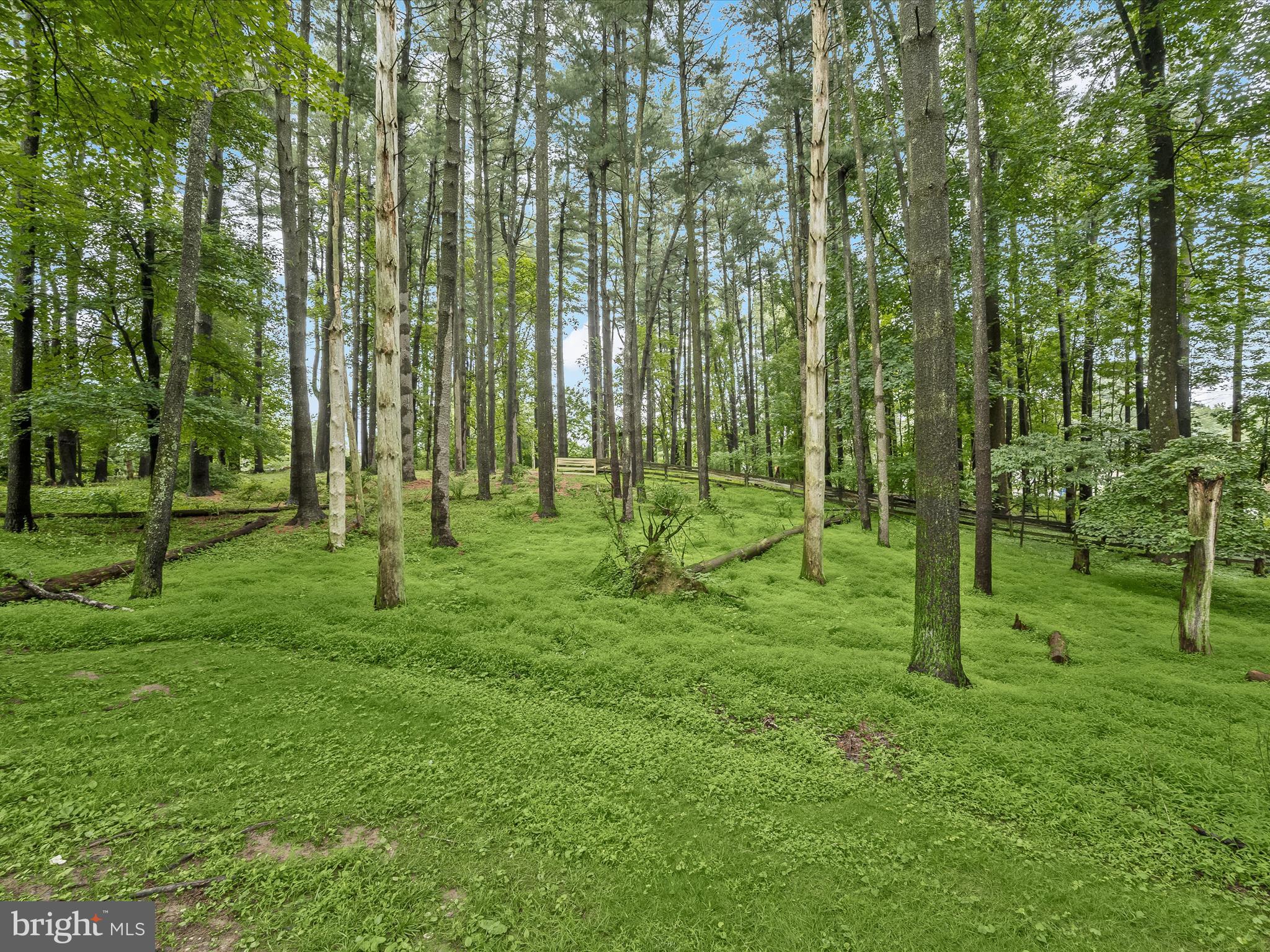 ALLENFORD - Residential