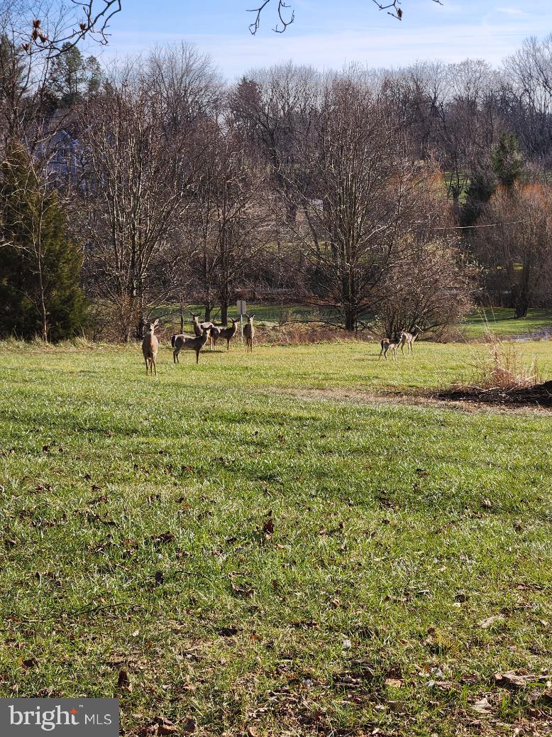 MIDDLEBURG - Residential