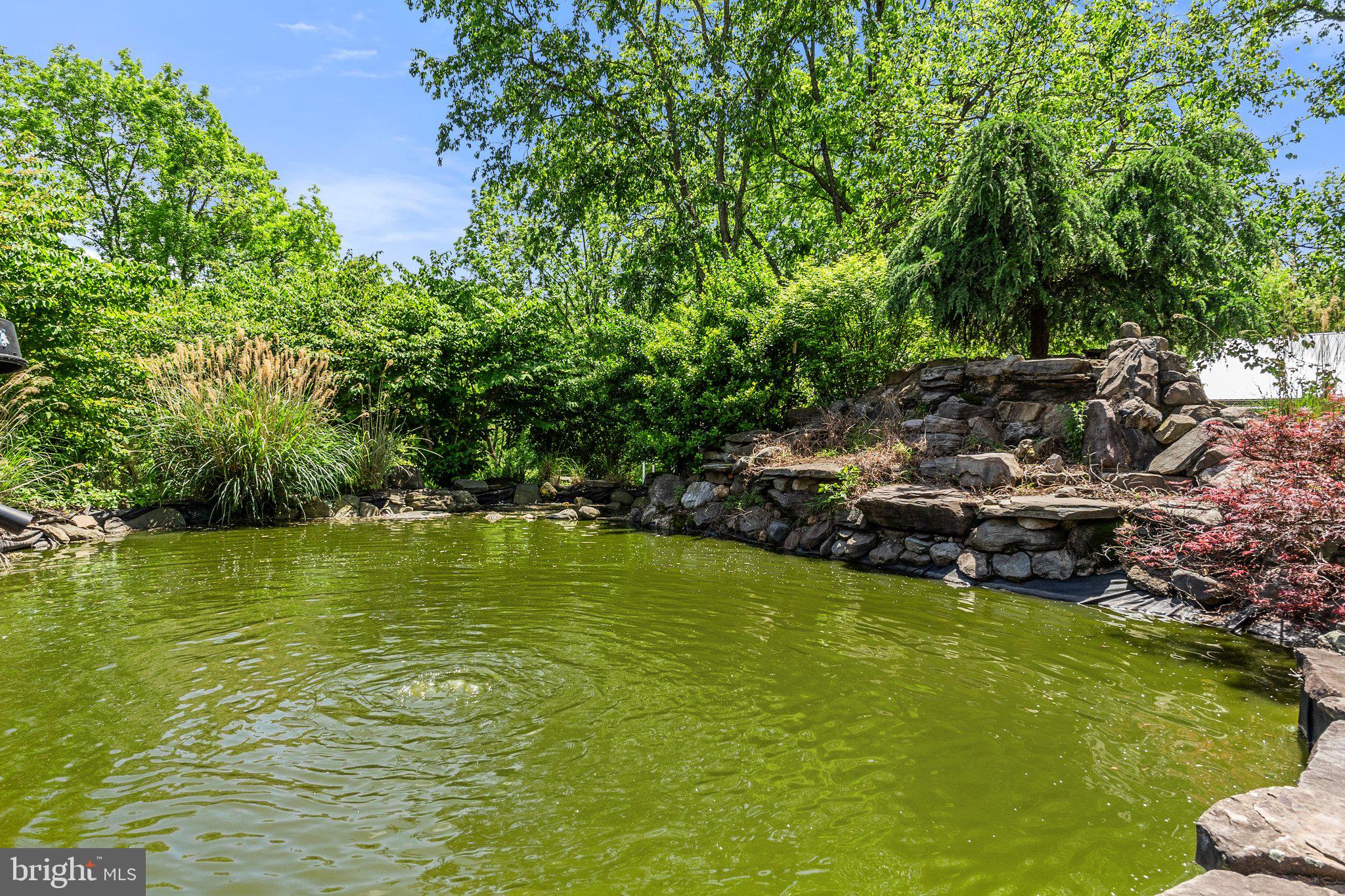 MIDDLEBURG - Residential