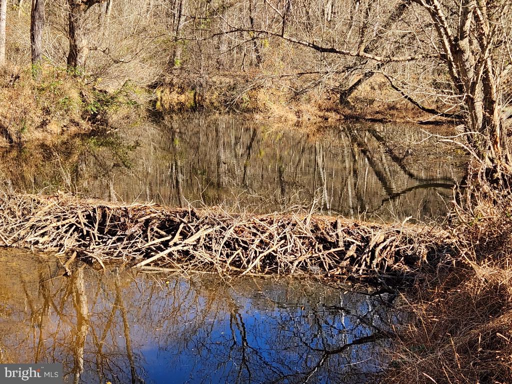 MIDDLEBURG - Residential