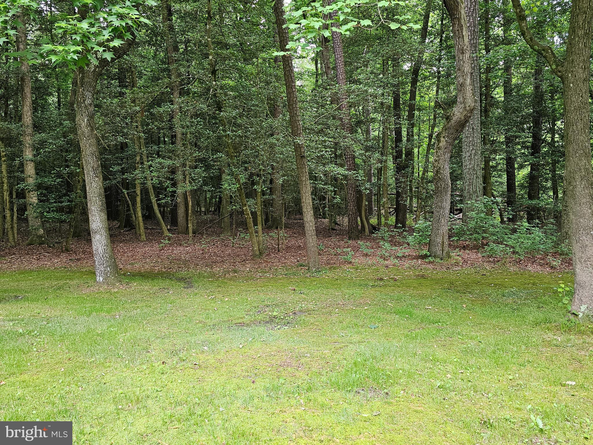 ROSEWOOD FOREST - Residential