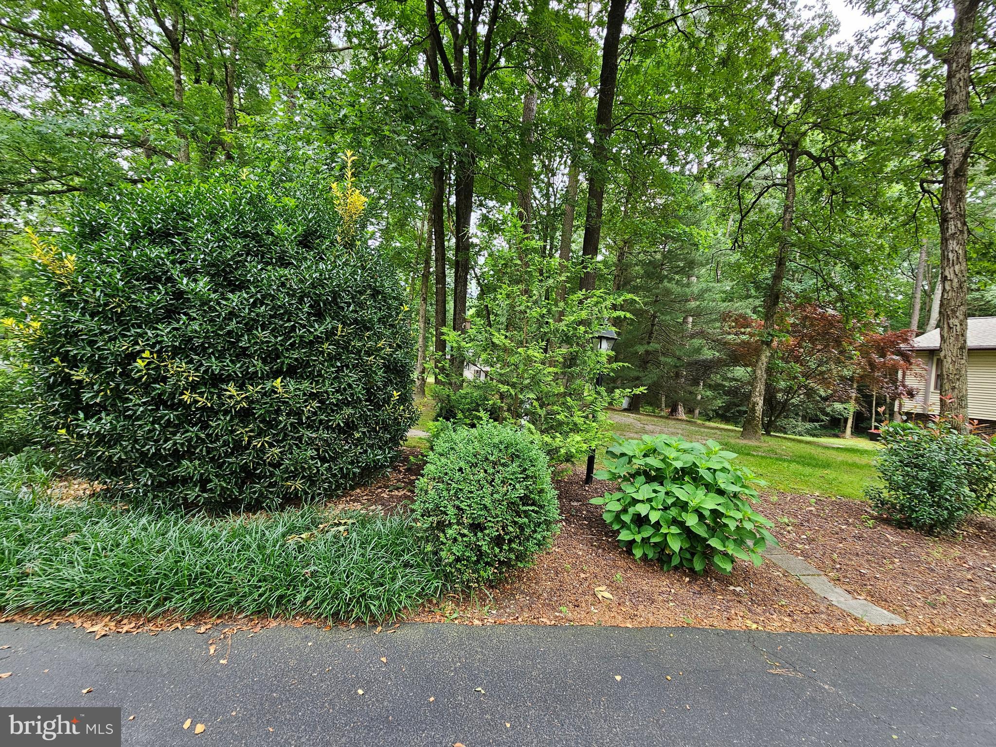 ROSEWOOD FOREST - Residential