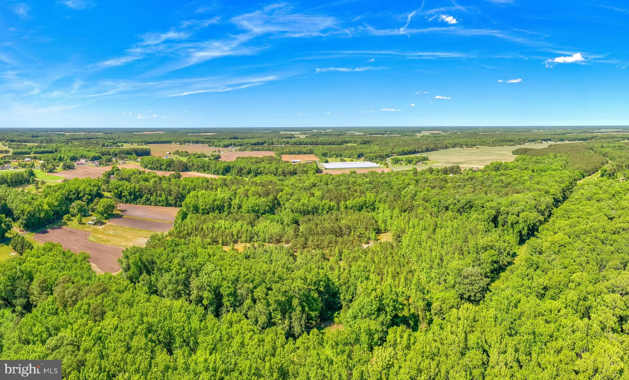 Additional image 21 of Casher Wells Road, Pittsville, MD 21850