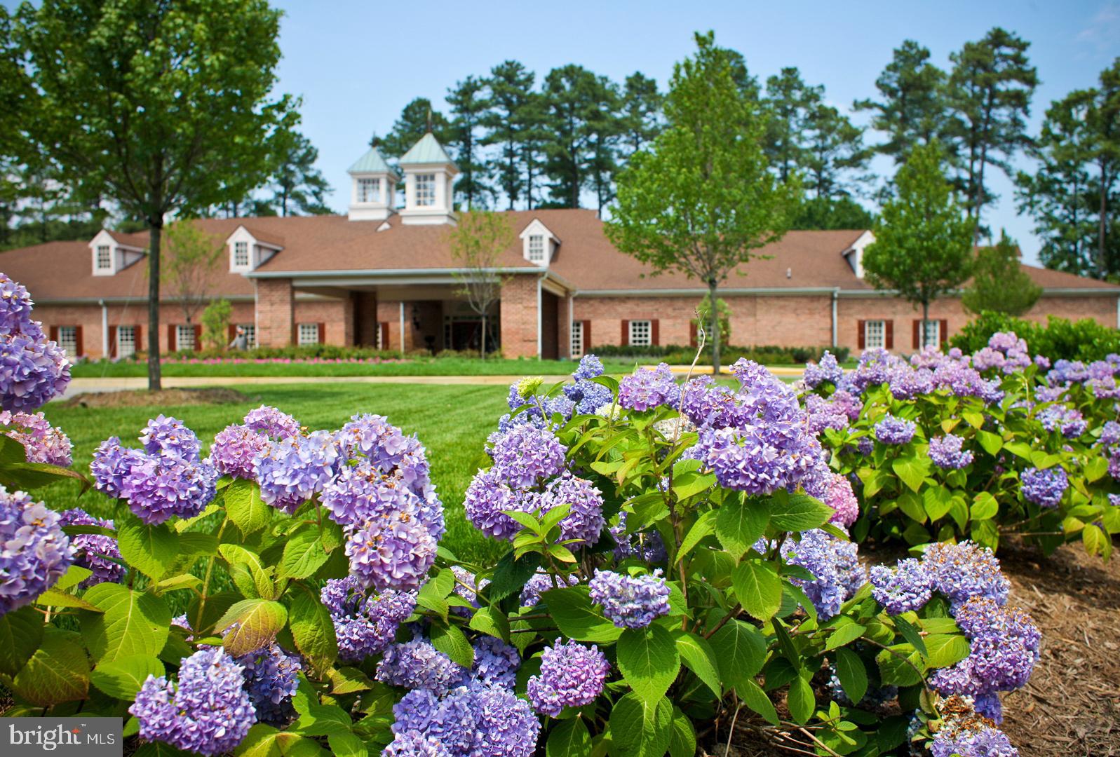 ROCK POINT - Residential