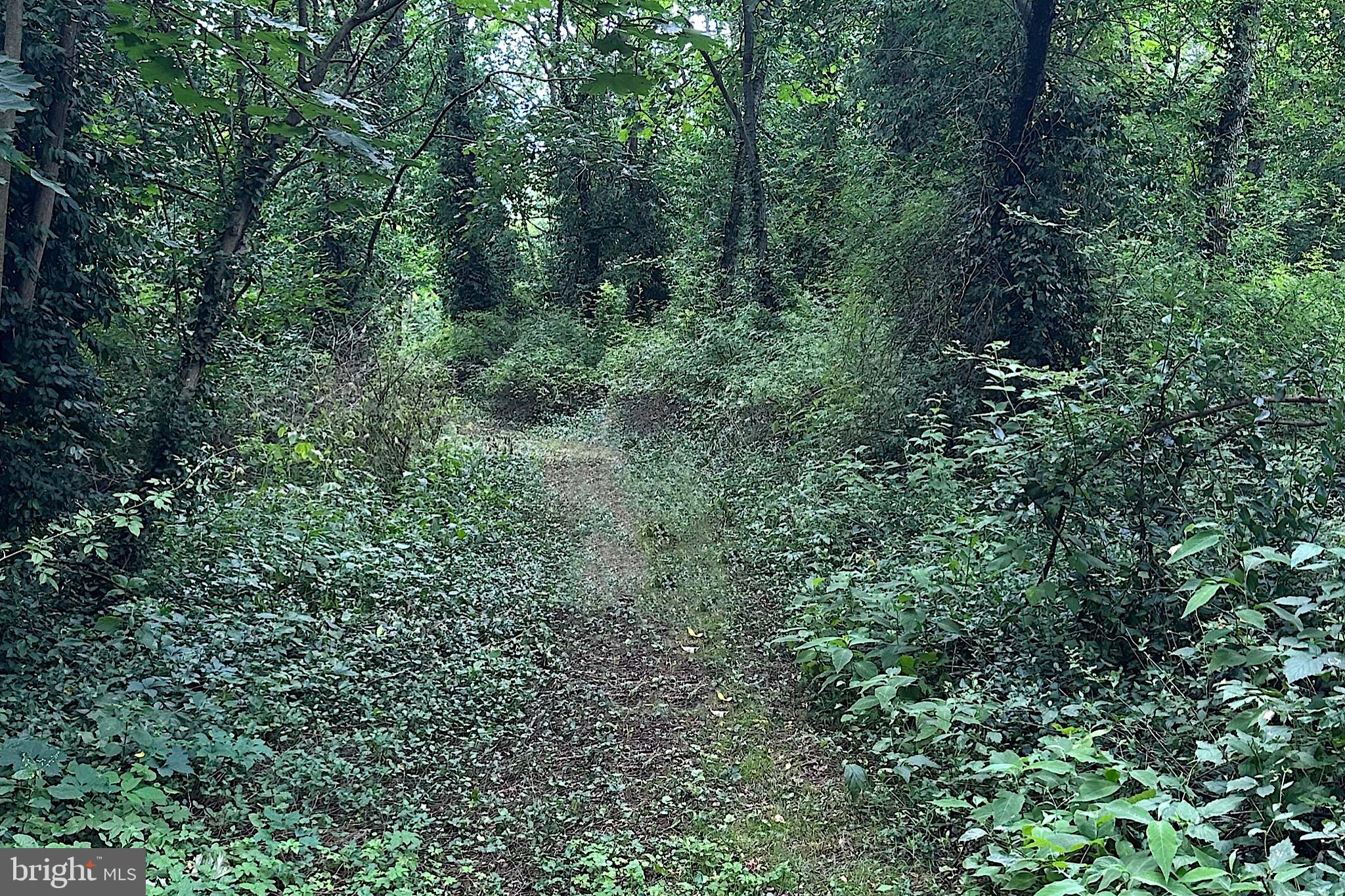 SHREWSBURY - Residential