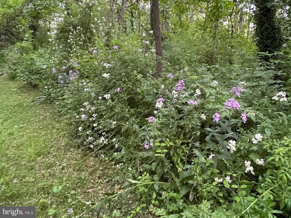 SHREWSBURY - Residential