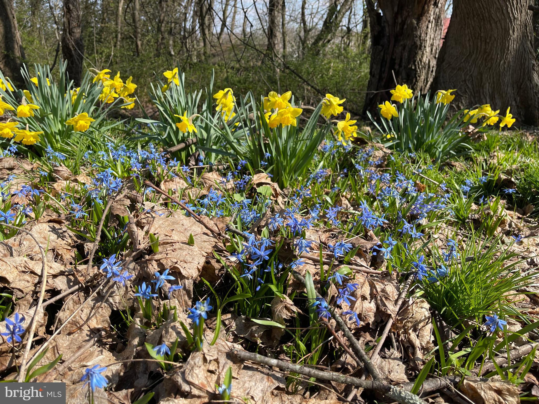 SHREWSBURY - Residential