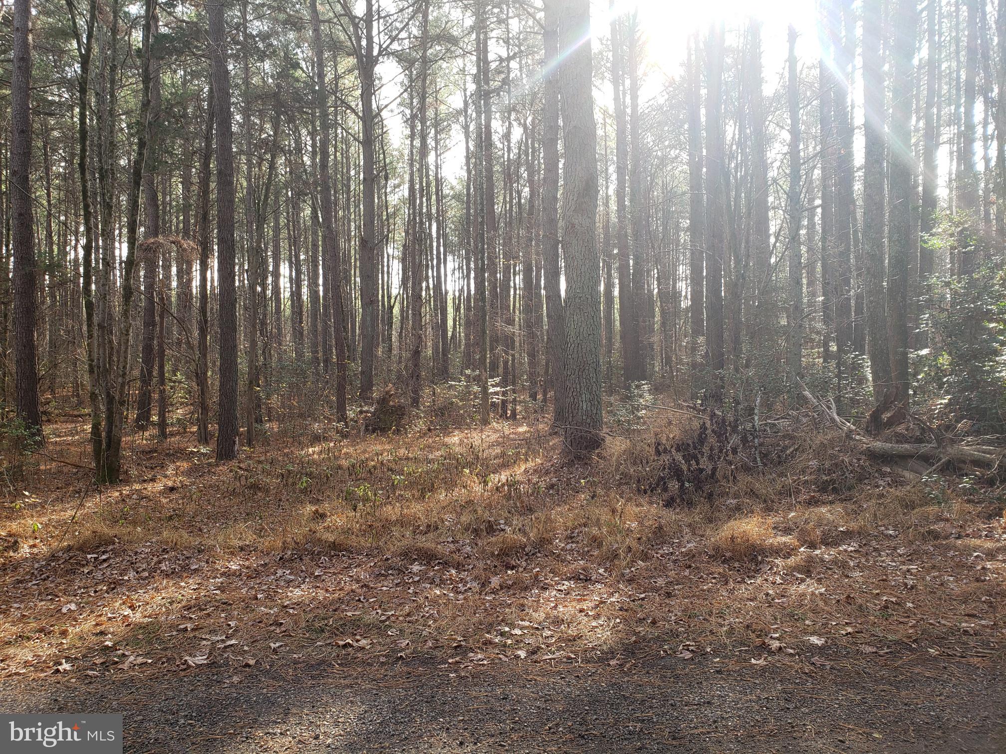 5.58 Acres, wooded that backs to state land. Secluded location but centrally located. 20-30 minutes of travel time will get you to Leonardtown, California, Solomon's, Lexington Park, Mechanicsville. Perc completed April 2021.