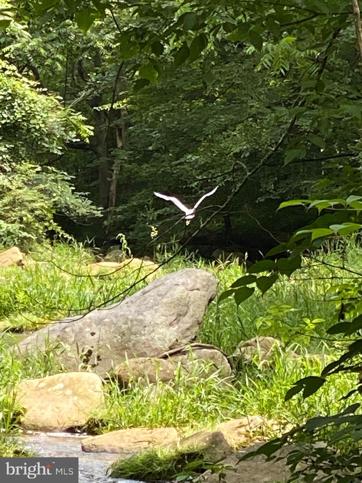 GLEN ARM - Residential