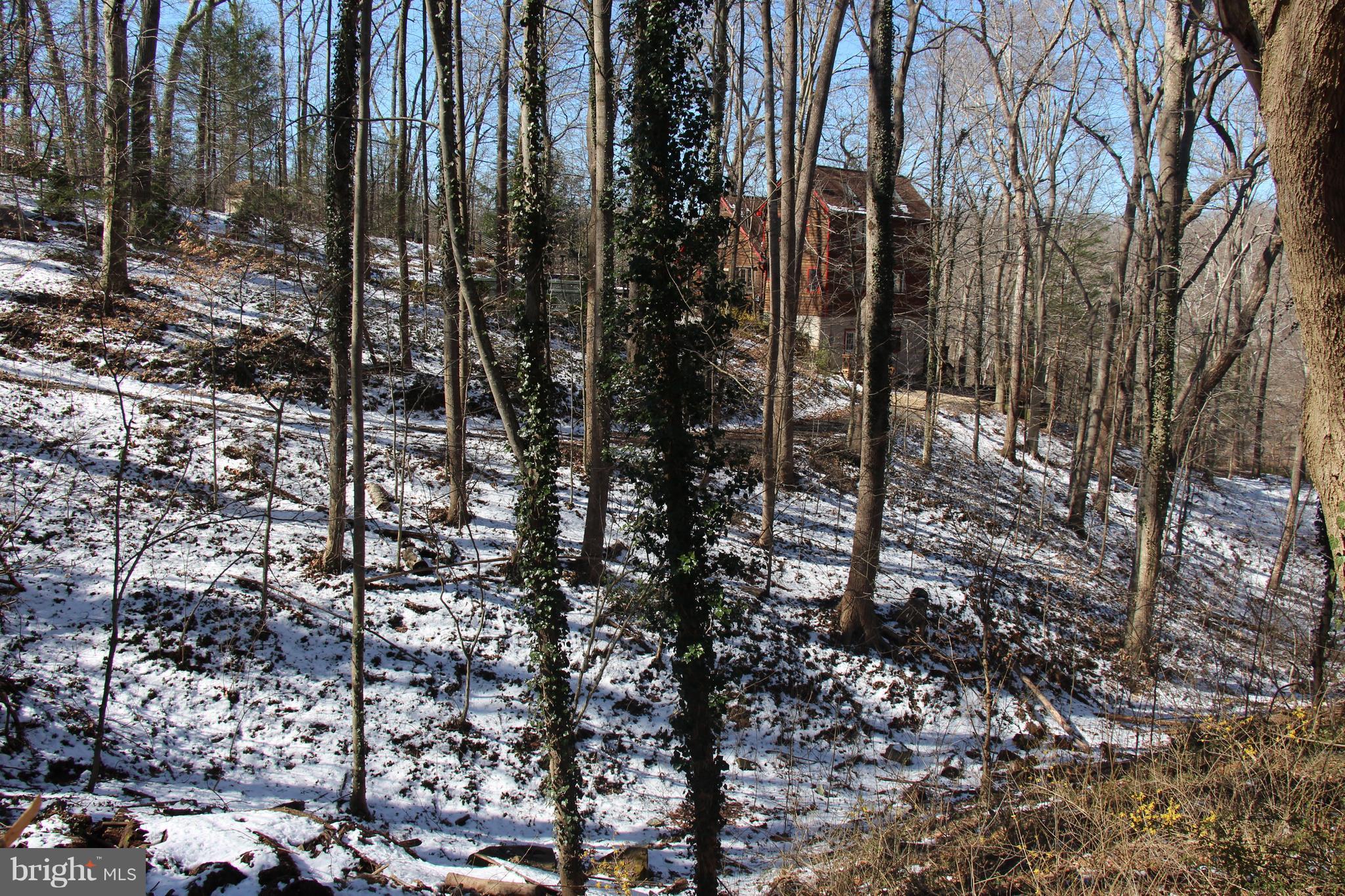 BELL TRACT - Residential Lease