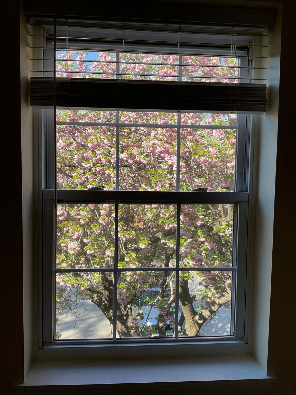 MAYS CHAPEL VILLAGE - Residential