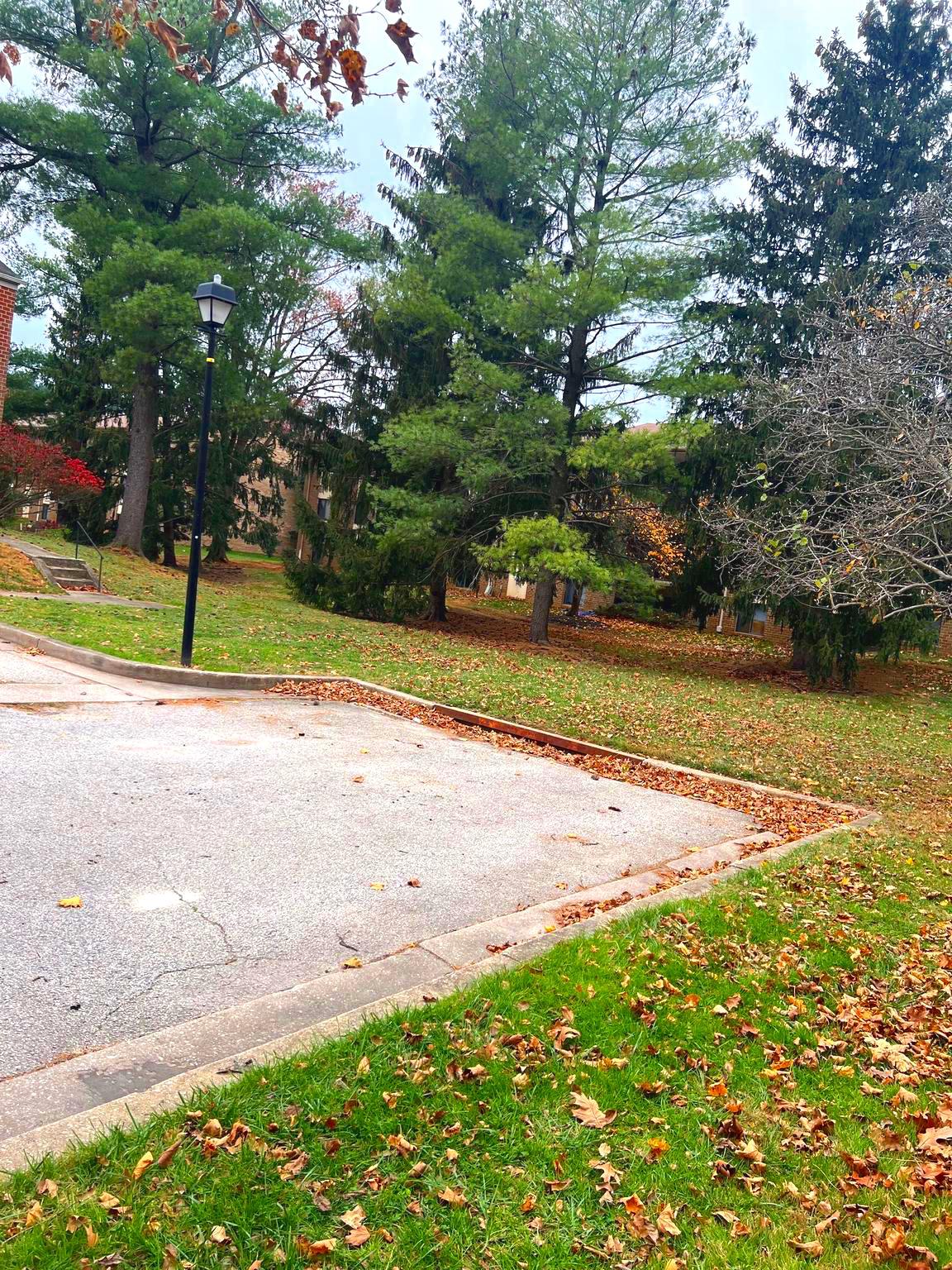 MAYS CHAPEL VILLAGE - Residential