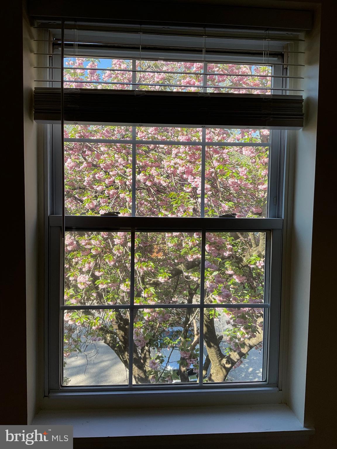 MAYS CHAPEL VILLAGE - Residential