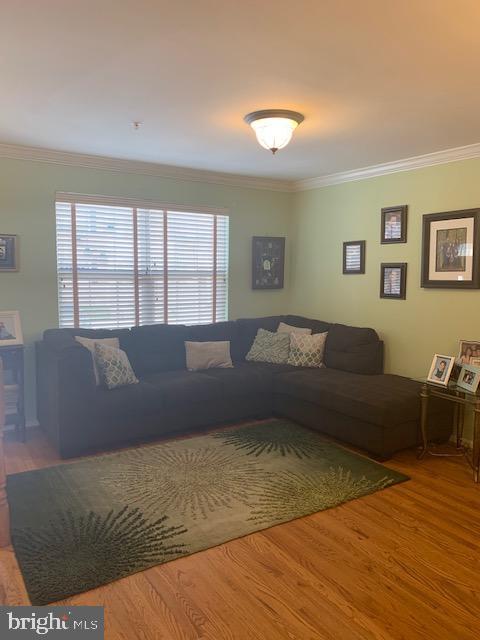 BANCROFT VILLAGE - Residential