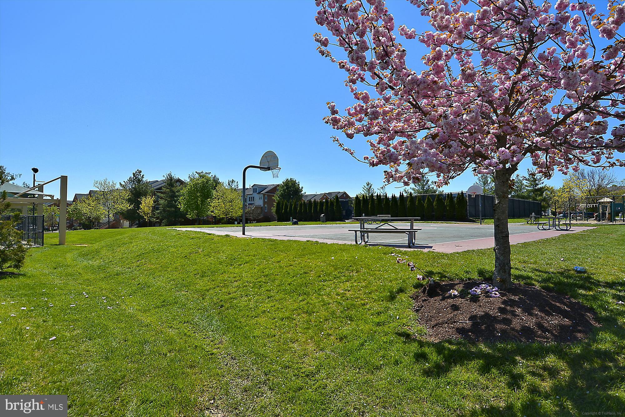 PINEY GLEN VILLAGE - Residential