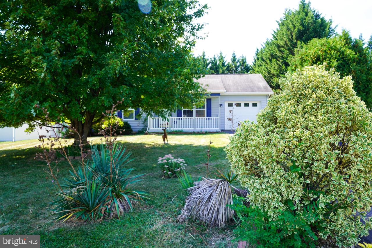 SENECA VILLAGE - Residential