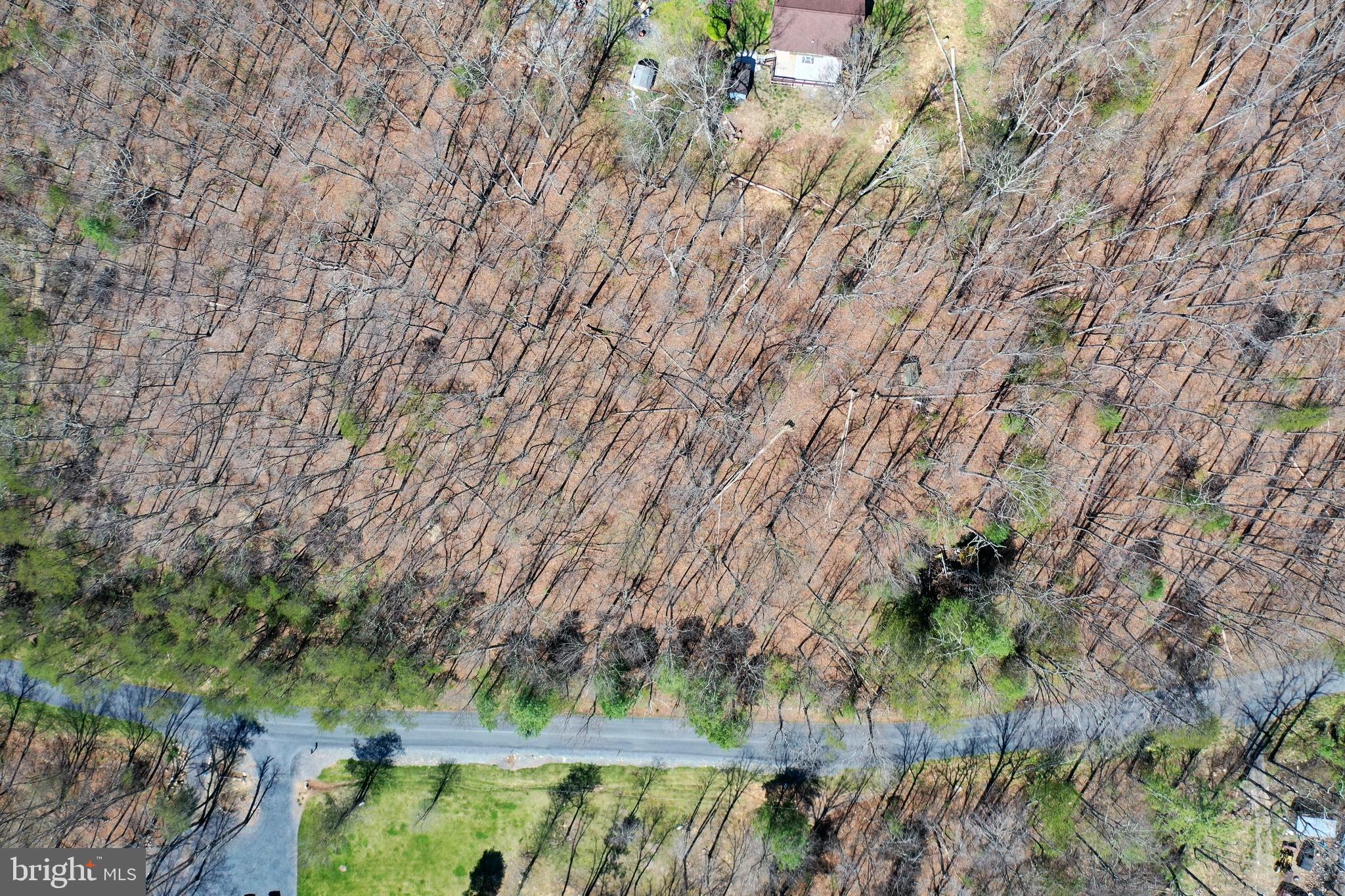 LOT 6 MORELAND GAP ROAD