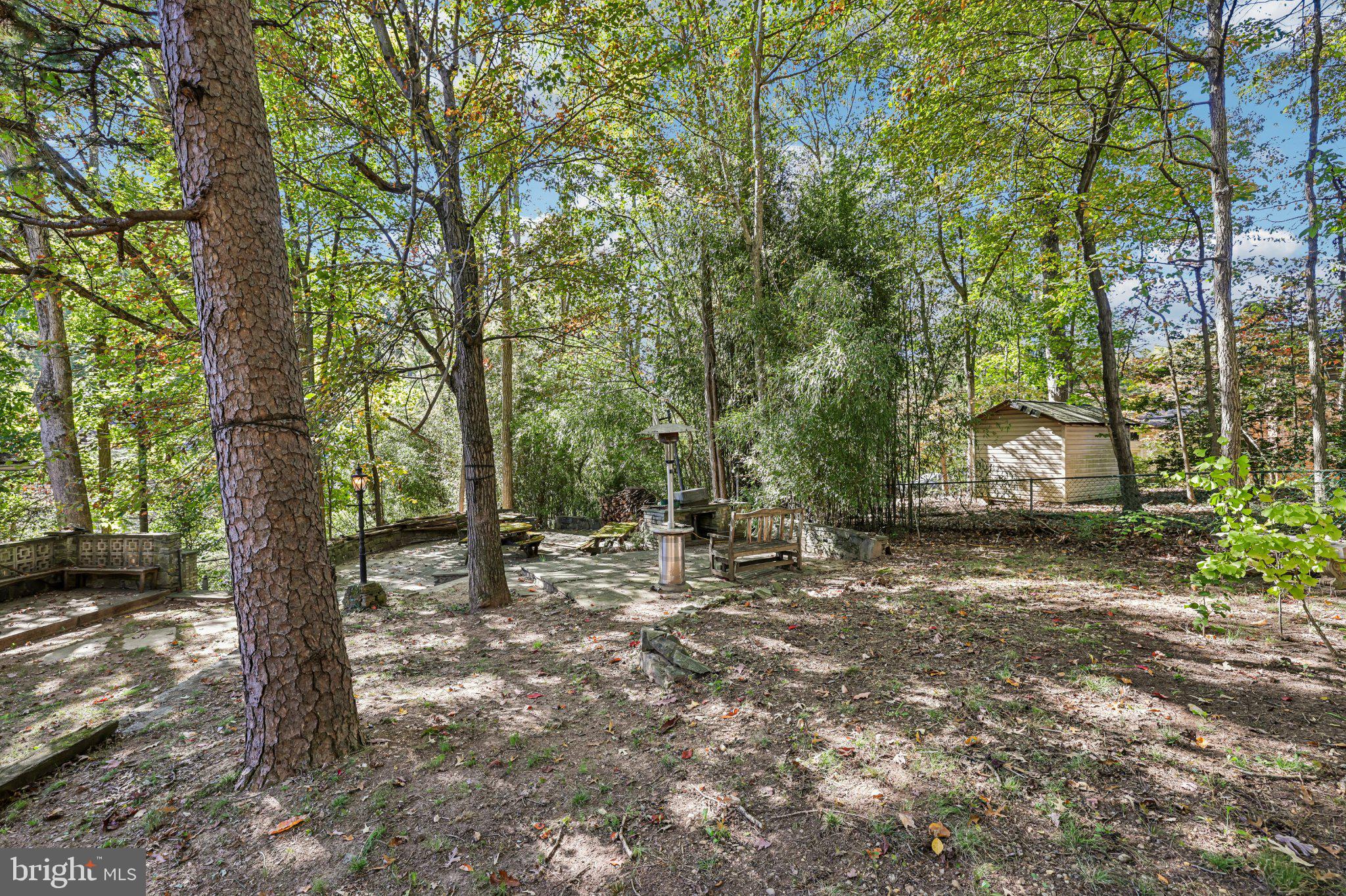 12515 WHITE DRIVE