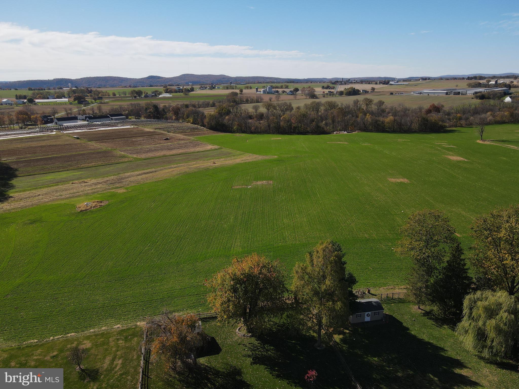 NONE AVAILABLE - Farm