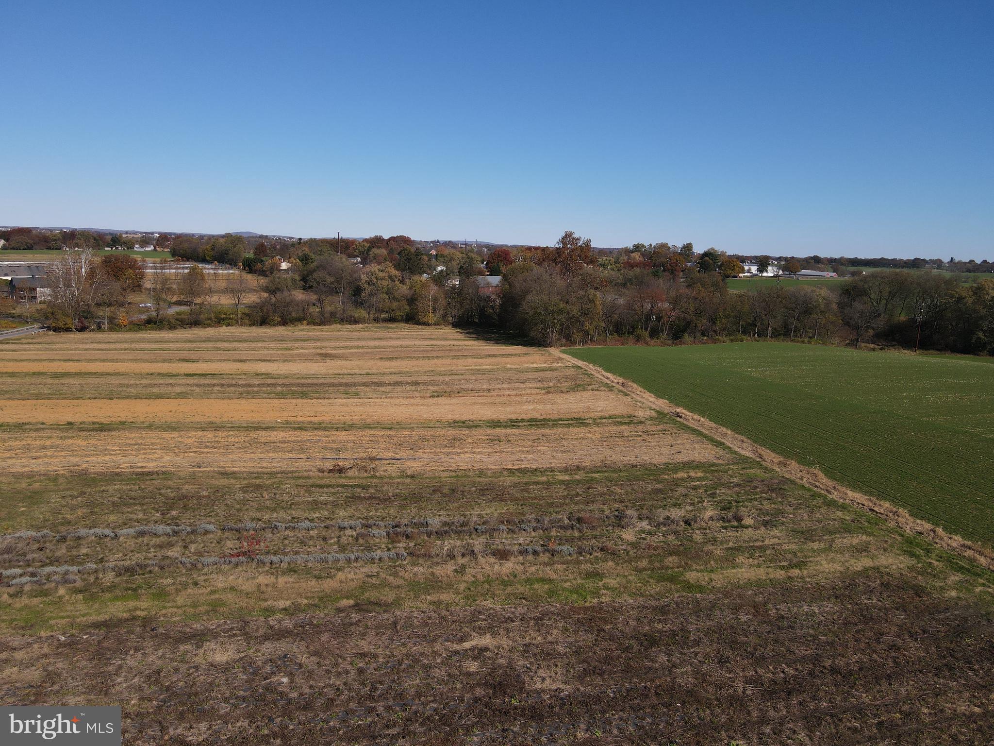 NONE AVAILABLE - Farm