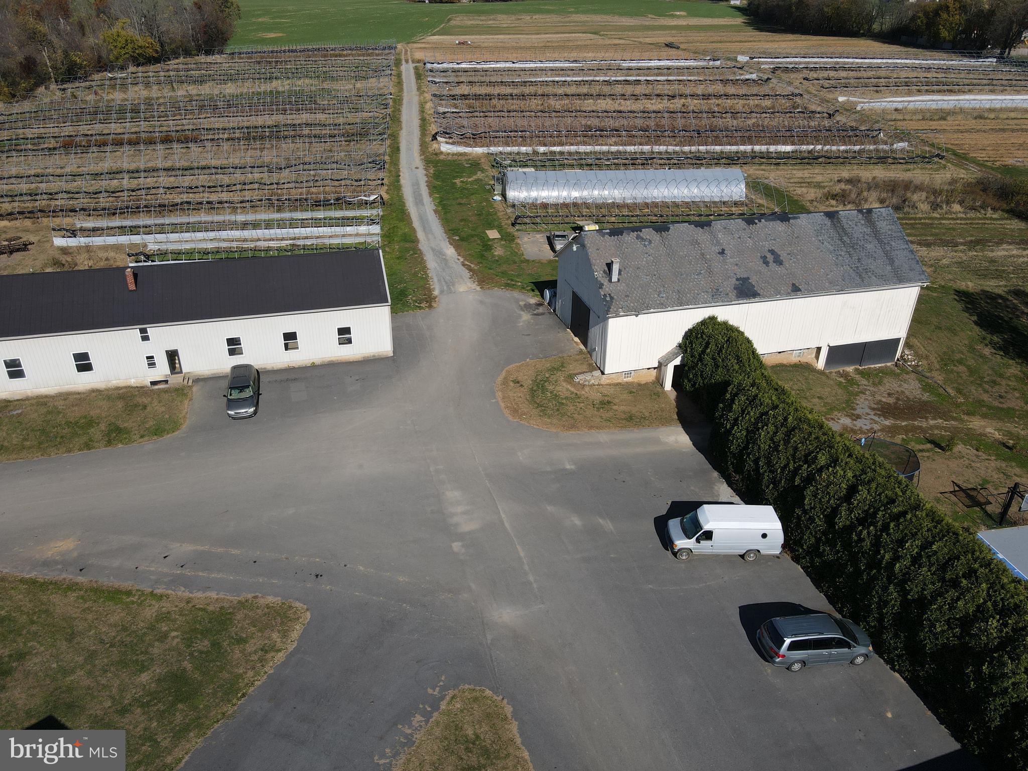 NONE AVAILABLE - Farm