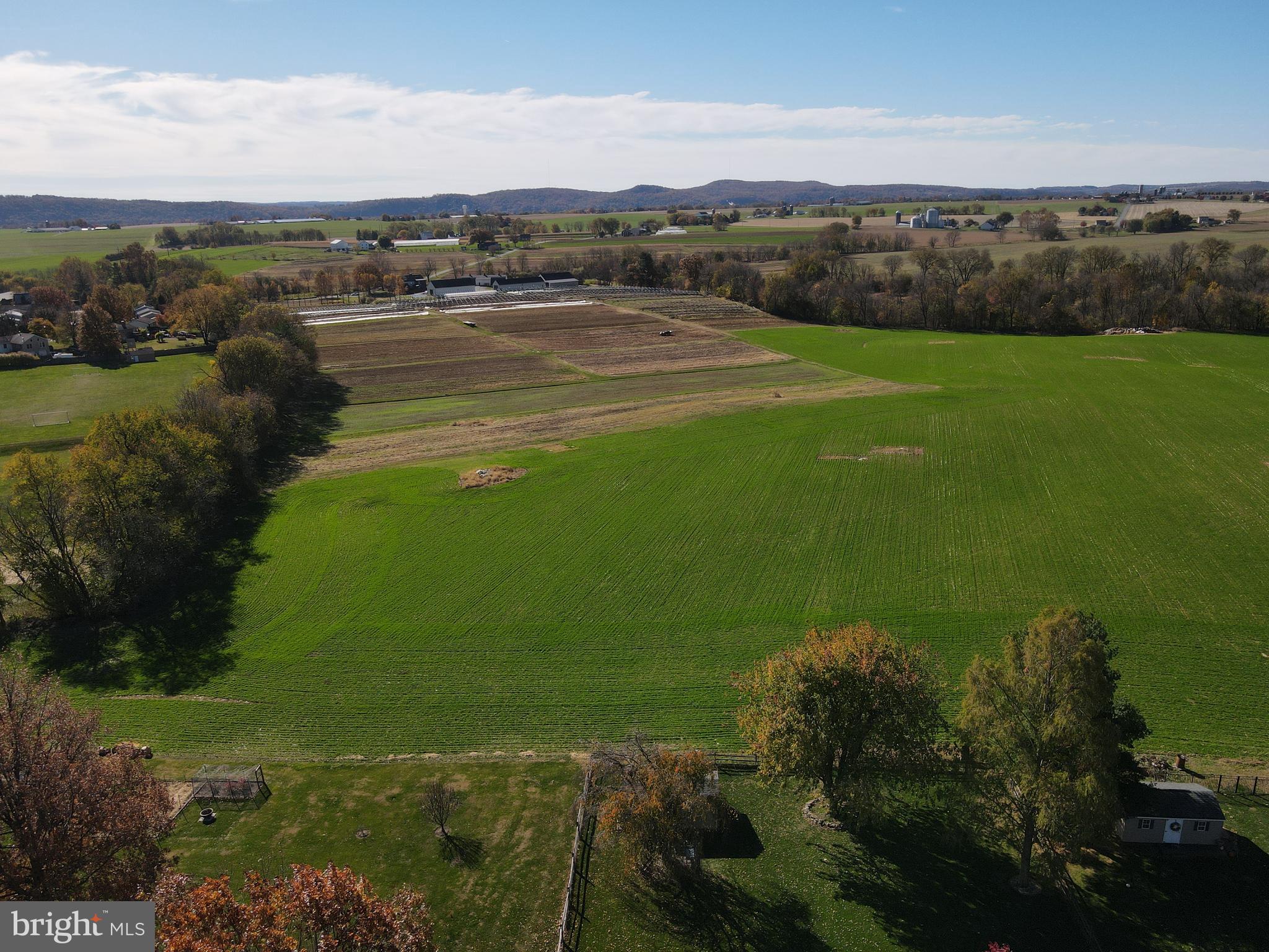 NONE AVAILABLE - Farm