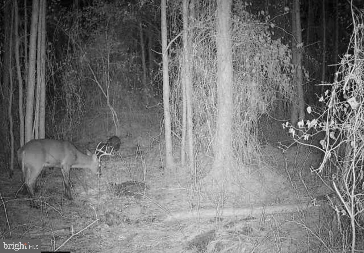 0 BOONE ROAD PARCEL 1370