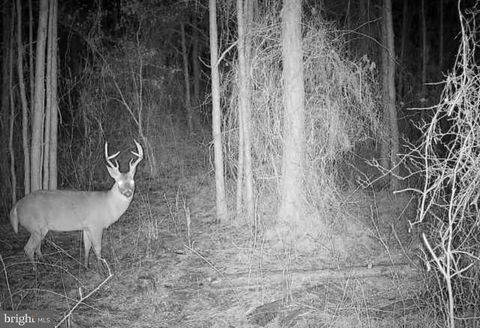 0 BOONE ROAD PARCEL 1370 CRISFIELD MD 21817